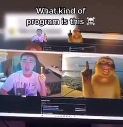 program