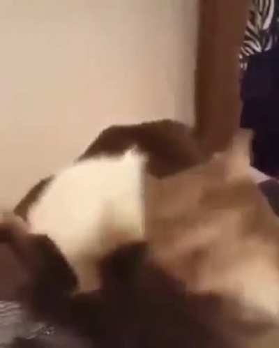 :v