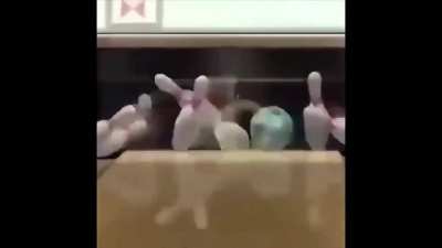 El tema pelos