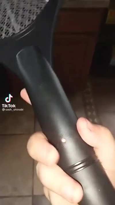 Rip the dog