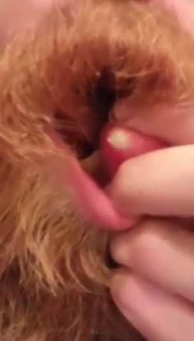 I can&rsquo;t watch but can&rsquo;t look away