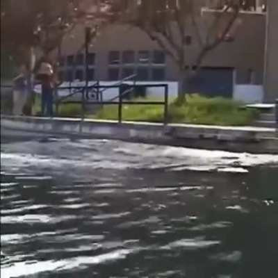 Skateboard Dude Performs The Unimaginable... Some Might Say, "It's A Gift"