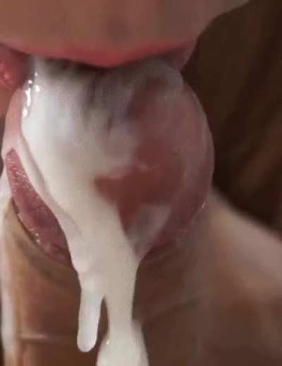 closeup
