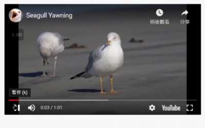 Inspired by YouTube "continue watching?" pop-up