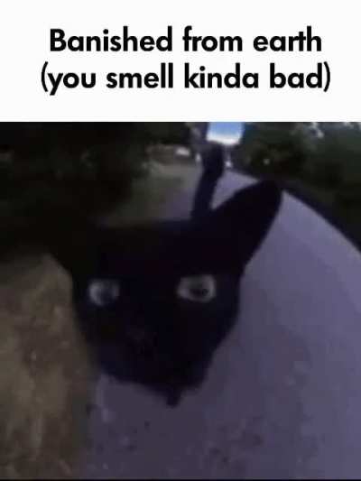⧸
