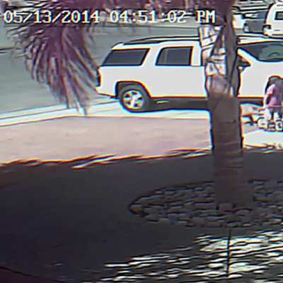 Cat saves a child&rsquo;s life from wild dog