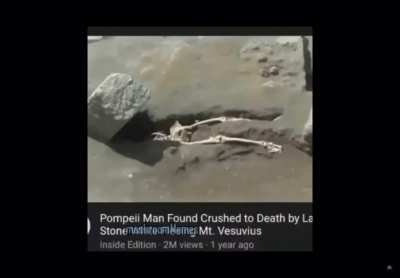 Bonk