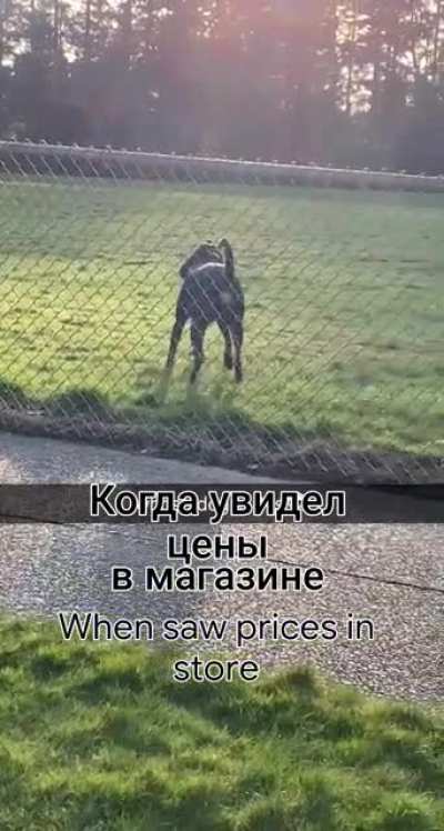 ***