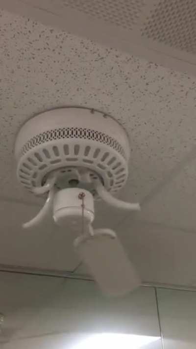 &ldquo;Education department fan has issues&rdquo;