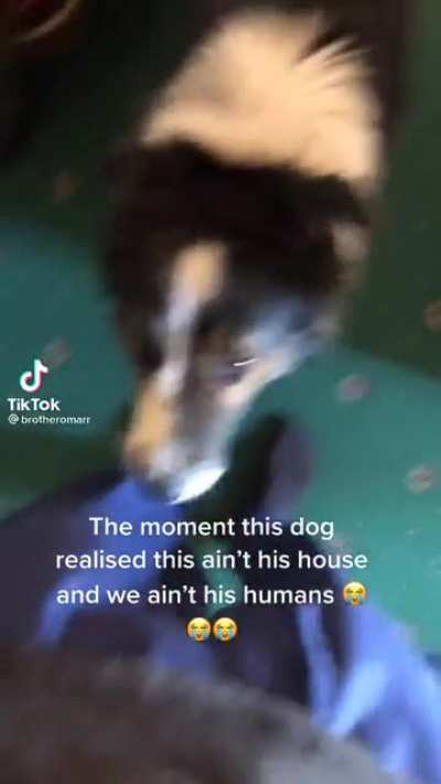 Oh shi- my bad 🐕💨