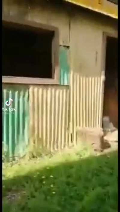 El se&ntilde;or Carrasco