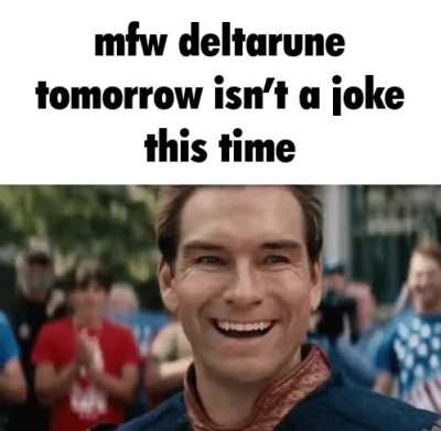no dolphins today