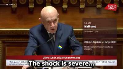 "We Are Fighting Against a Dictator Backed by a Traitor" &ndash; A French Senator Speaks Out