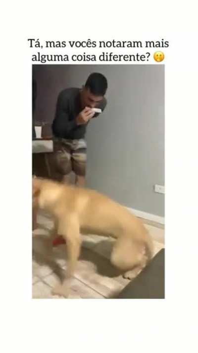 nao sei se acho fofo ou se fico com d&oacute;