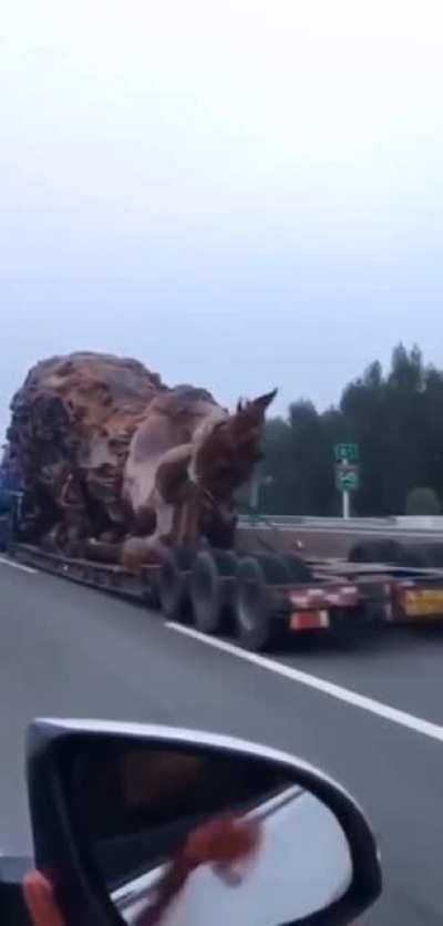 Lion-dragon speeding down the highway