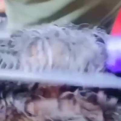 .-.
