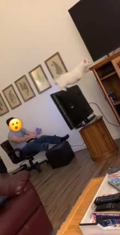 OH No!
