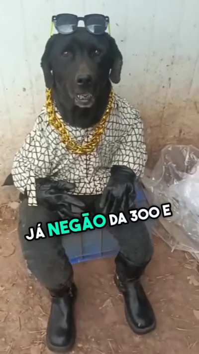 Conhe&ccedil;a a gangue do Cleitinho Fub&aacute;