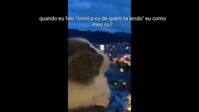 Ser&aacute;? 🤔