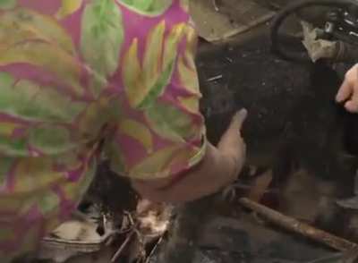 Grandma&rsquo;s dog got lost in the tornado
