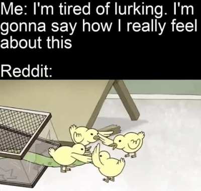 Never again