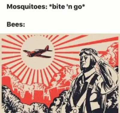 🐝👍