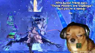 When your friend says "This Healer Sucks" but you're the healer