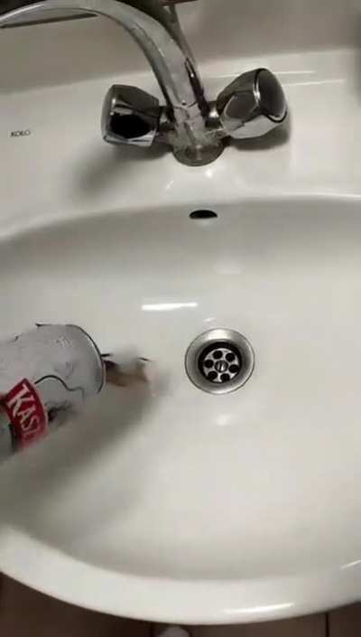 Canicus the recycled