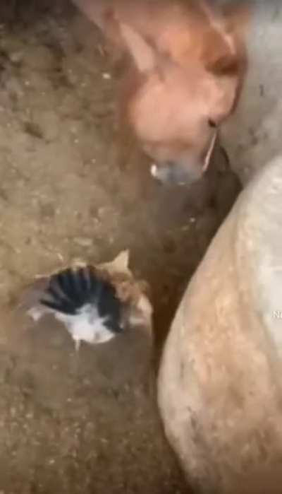 I didn't know what was going to happen