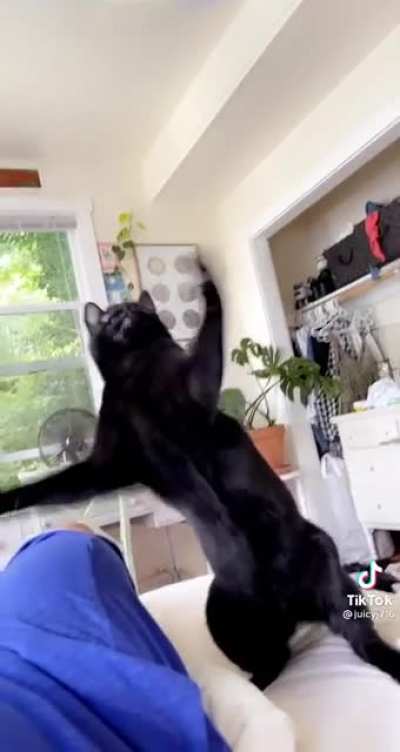 Shimmy shimmy shake