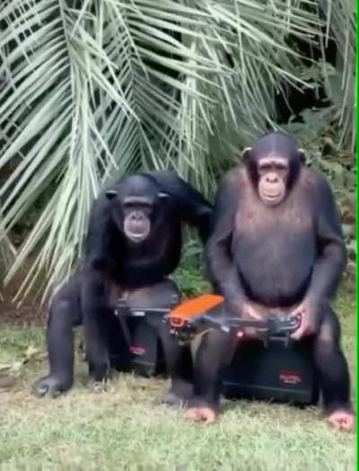 New Etienne gameplay leaked
