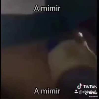 Mimir