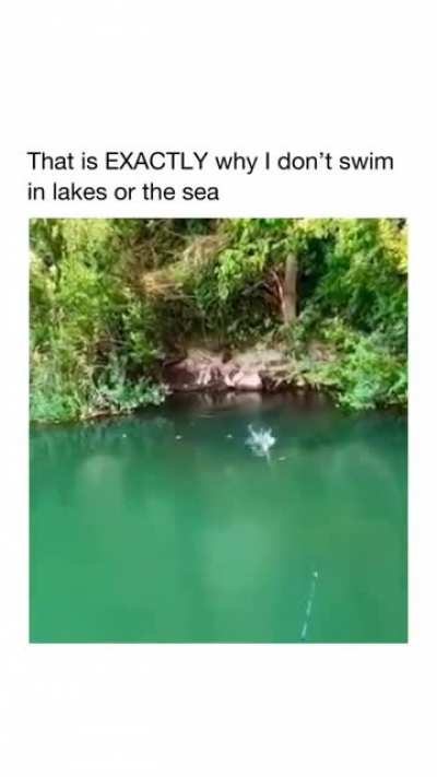 How big is that fish
