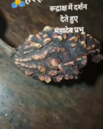 Shivaaye