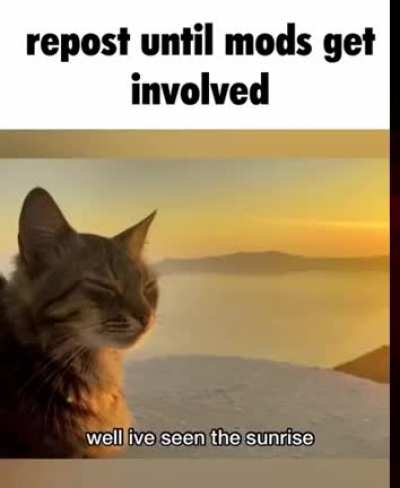 am i doing the funny?