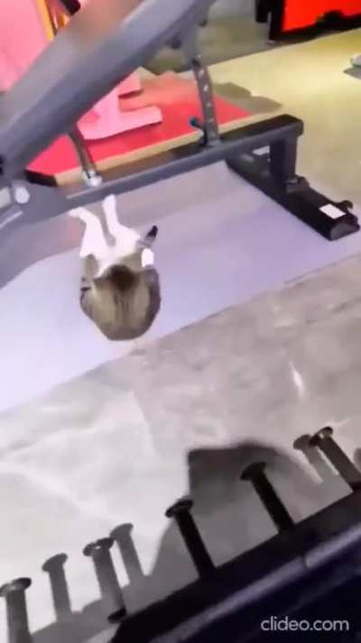 💪😾