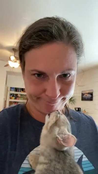 I&rsquo;m a little insulted that my kitten thinks my chin is a boob.