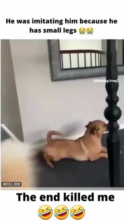 Lol!!!