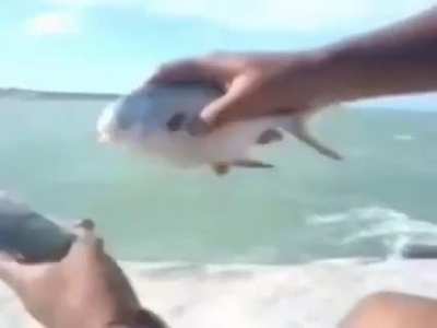 Buena wacha como andas