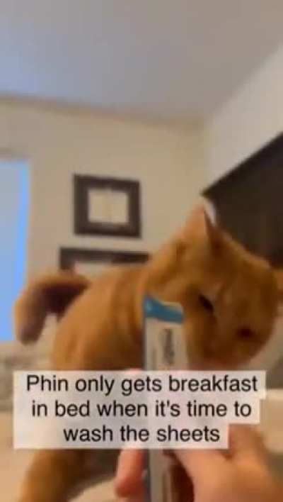 Phin&rsquo;s breakfast derp