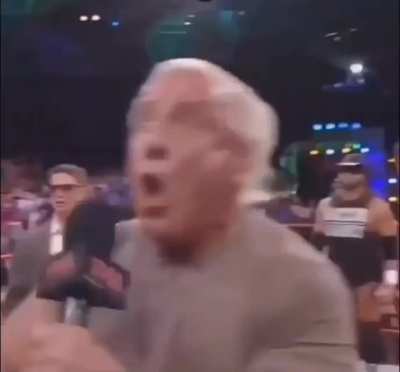 When your dog sees another dog on a walk