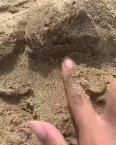 ARTE