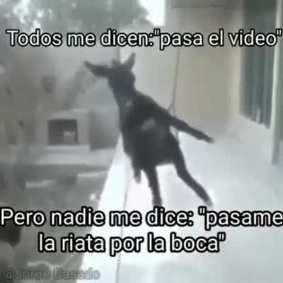 Xdn't