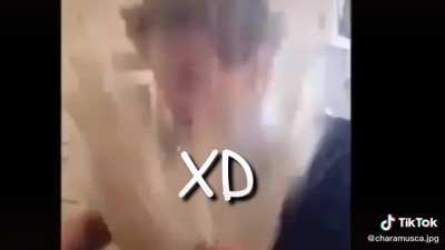 xd