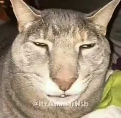 ....