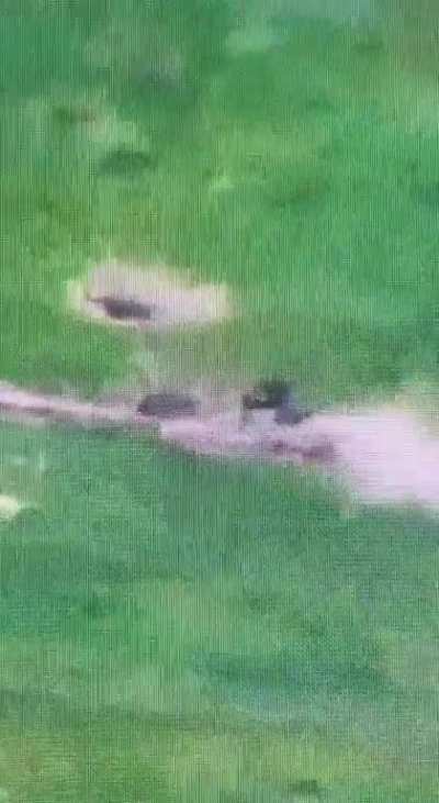 Robert &ldquo;Bada Boom Jagga Jagga&rdquo; Magyar shows how the 59th brigade of AFU repelled another attack by a Russian assault group in the Donetsk direction. Many pieces of equipment destroyed
