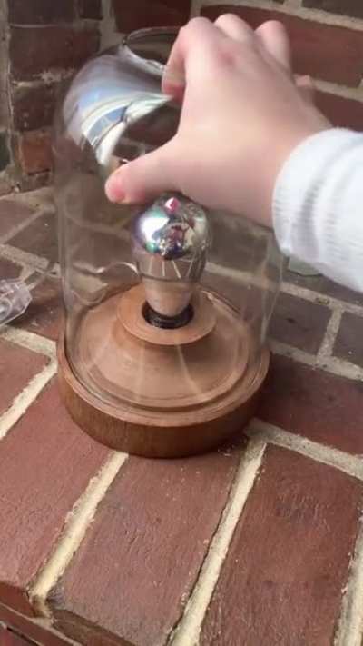 An almora bulb in action