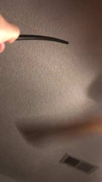 My cover of chop suey