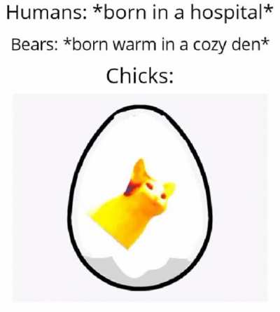 I posted the gif of this on dankmemes. Someone wanted an audio version and here it is: