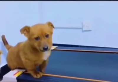 What a good boy.